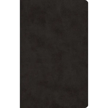 ESV Large Print Value Thinline Bible (Trutone, Black)