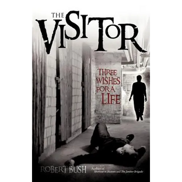 The Visitor