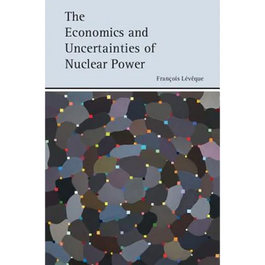 The Economics and Uncertainties of Nuclear Power