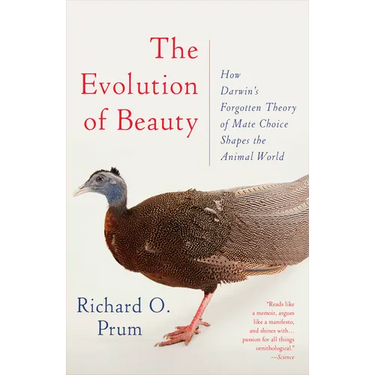 The Evolution of Beauty: How Darwin's Forgotten Theory of Mate Choice Shapes the Animal World - And Us