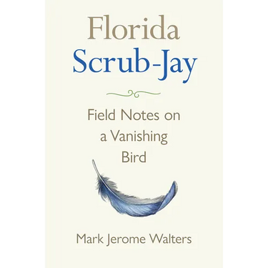 Florida Scrub-Jay: Field Notes on a Vanishing Bird