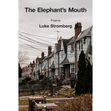 The Elephant's Mouth