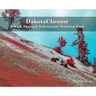 DakotaChrome: A Walk Through Yellowstone National Park