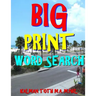 Big Print Word Search: 133 Entertaining Themed Puzzles