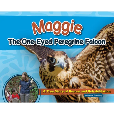 Maggie the One-Eyed Peregrine Falcon: A True Story of Rescue and Rehabilitation