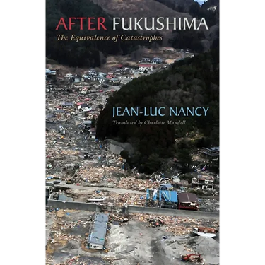 After Fukushima: The Equivalence of Catastrophes