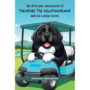 The First Year Adventures Of Theodore The Newfoundland And His White Socks