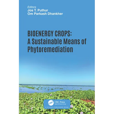 Bioenergy Crops: A Sustainable Means of Phytoremediation
