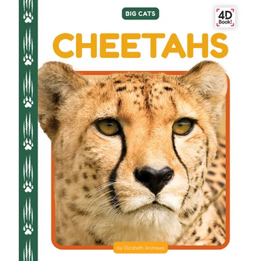 Cheetahs