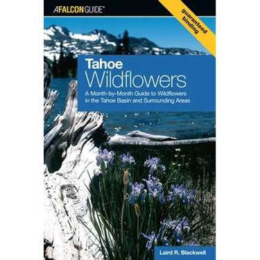 Tahoe Wildflowers