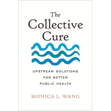 The Collective Cure: Upstream Solutions for Better Public Health