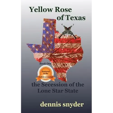 Yellow Rose of Texas: The Secession of the Lone Star State