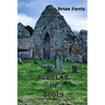Burglar of Souls