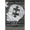 Poems from a Bipolar Mind: A Collection of Journal Entries Related to Mental Illness and Bipolar Disorder