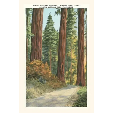 The Vintage Journal Sequoia National Park