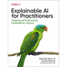 Explainable AI for Practitioners: Designing and Implementing Explainable ML Solutions