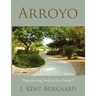 Arroyo: Discovering Soul in the Desert?