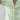 103ac0a4-ca5a-4912-9e4c-45323ab38f8a-Max
