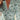 10435eef-eccf-4ec8-91a0-e753f1c2b0c7-Max-Origin