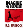 Imagine My Surprise!
