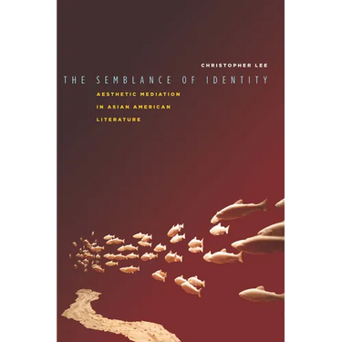 The Semblance of Identity: Aesthetic Mediation in Asian American Literature