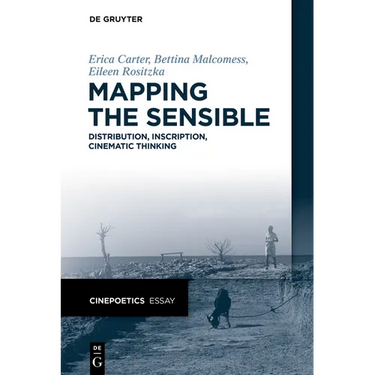 Mapping the Sensible: Distribution, Inscription, Cinematic Thinking