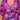 1376a9c8-1b97-43da-bf93-6f88cee6701e-Max
