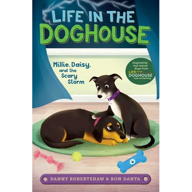 Millie, Daisy, and the Scary Storm