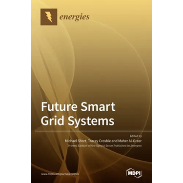 Future Smart Grid Systems
