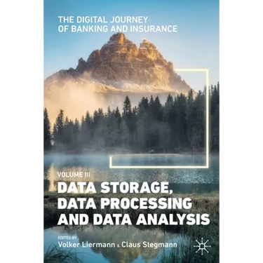 The Digital Journey of Banking and Insurance, Volume III: Data Storage, Data Processing and Data Analysis