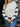 15cb659f-fc5a-4533-8211-e2d8354744df-Max