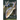 Wild Carp