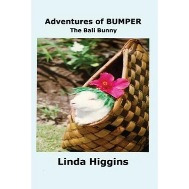 Adventures of Bumper