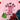 18772caab26c4926a30268ffe5d61d50-Max