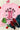 18772caab26c4926a30268ffe5d61d50-Max
