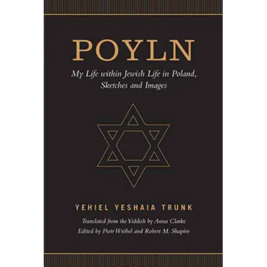 Poyln: My Life within Jewish Life in Poland, Sketches and Images