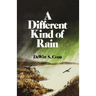A Different Kind of Rain
