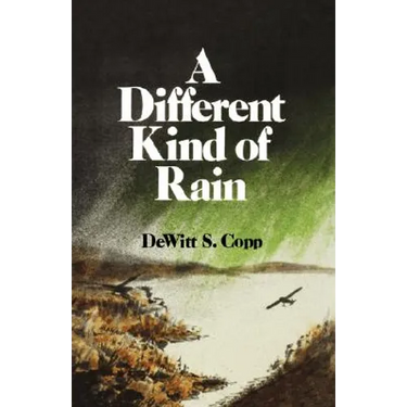 A Different Kind of Rain