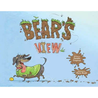 Bear's View