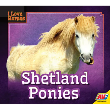 Shetland Ponies
