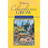 Where Columbines Grow