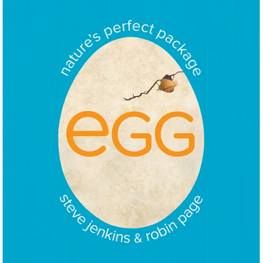 Egg: Nature's Perfect Package