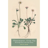 Wordsworth After War