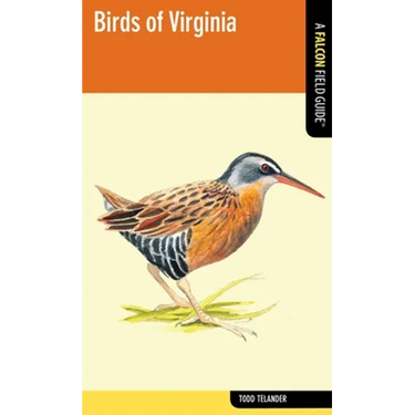 Falcon Guide: Birds of Virginia