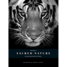 Sacred Nature 2: Reconnecting People to Our Planet