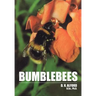 Bumble Bees