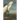 The Birds of America