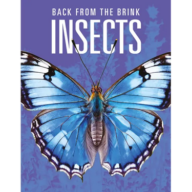 Insects: Back from the Brink