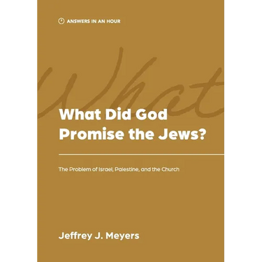 What Did God Promise the Jews?: The Problem of Israel, Palestine, and the Church
