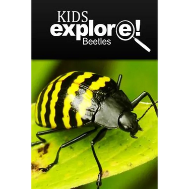 Beetles - Kids Explore: Animal books nonfiction - books ages 5-6
